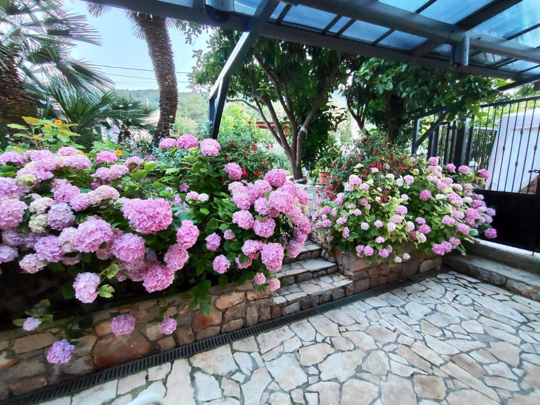 Vacation House Orange Veli Lošinj Dış mekan fotoğraf